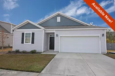 9051 Saint George Road, Wilmington, NC 28411 - Photo 1