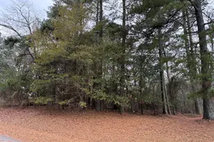Lot 8 Green Acres Rd, Carthage, NC 28327 - Photo 1