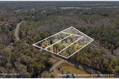 Tr-B-2 Chappell Loop Road SE, Leland, NC 28451 - Photo 1