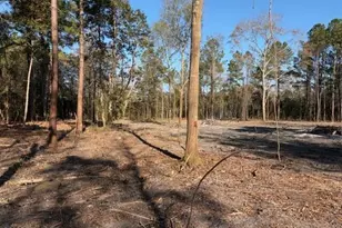 4401 Smith Trail NE, Leland, NC 28451 - Photo 1