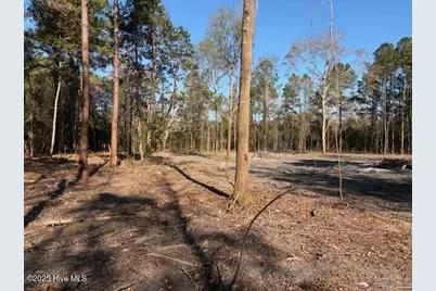 4404 Smith Trail NE, Leland, NC 28451 - Photo 1