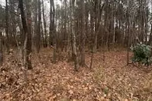 107 Browns Mill Rd, Robbins, NC 27325 - Photo 1