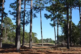 462 Laurel Valley Dr, Shallotte, NC 28470 - Photo 1