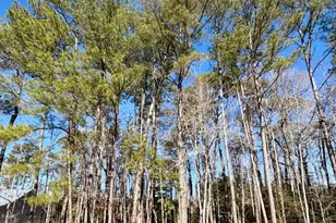91 Northeast Dr NW, Calabash, NC 28467 - Photo 1