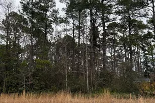 628 Boundary Loop Rd NW, Calabash, NC 28467 - Photo 1