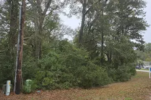 Lot 23 24 Riverview Dr, Calabash, NC 28467 - Photo 1