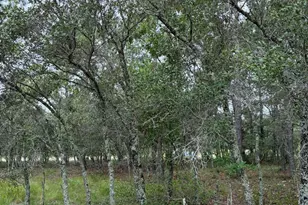 3040 Valderama Way SE, Bolivia, NC 28422 - Photo 1
