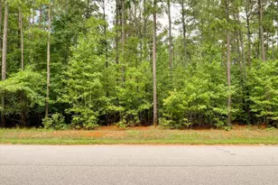 Lot 57 Lighthouse Pointe, Lincolnton, GA 30817 - Photo 1