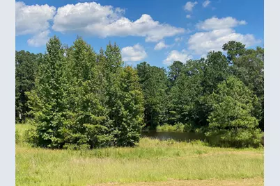 2839 Sellars Road, Applin, GA 30802 - Photo 1