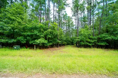 Lot 36 Savannah Ridge Road, Lincolnton, GA 30817 - Photo 1