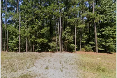 Lot 421-C Lost Wilderness Road, Clarks Hill, SC 29821 - Photo 1