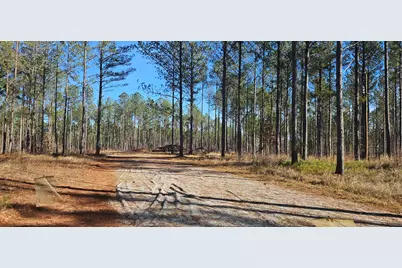 1 Smith Chapel Road, Lincolnton, GA 30817 - Photo 1