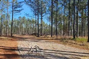 1 Smith Chapel Rd, Lincolnton, GA 30817 - Photo 1