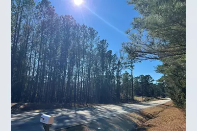 0 Highway 179, Plum Branch, SC 29845 - Photo 1