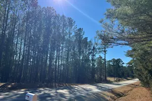 0 Hwy 179, Plum Branch, SC 29845 - Photo 1