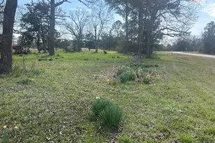 1046 Holloway Rd, Lincolnton, GA 30817 - Photo 1