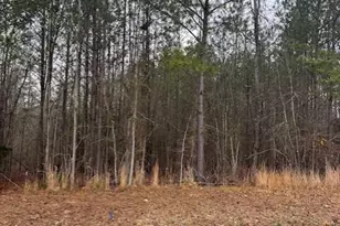 40 Landing Loop, Lincolnton, GA 30817 - Photo 1