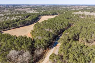 1020 Fleming Lk Ct, Lincolnton, GA 30817 - Photo 1