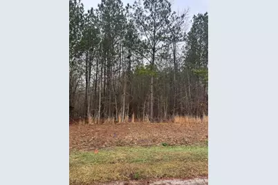 22 Long Cove Drive, Lincolnton, GA 30817 - Photo 1