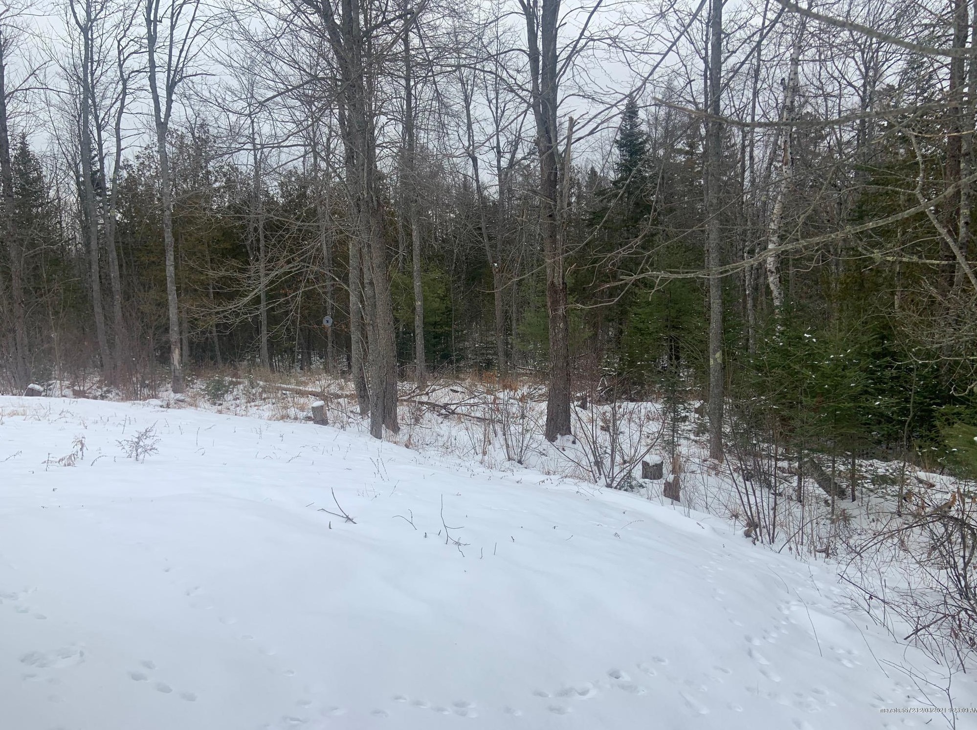 286 Morgan Bay Rd, Surry, ME 04684 exterior