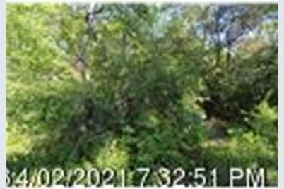 0 Bog Road Lot 94 - Photo 1