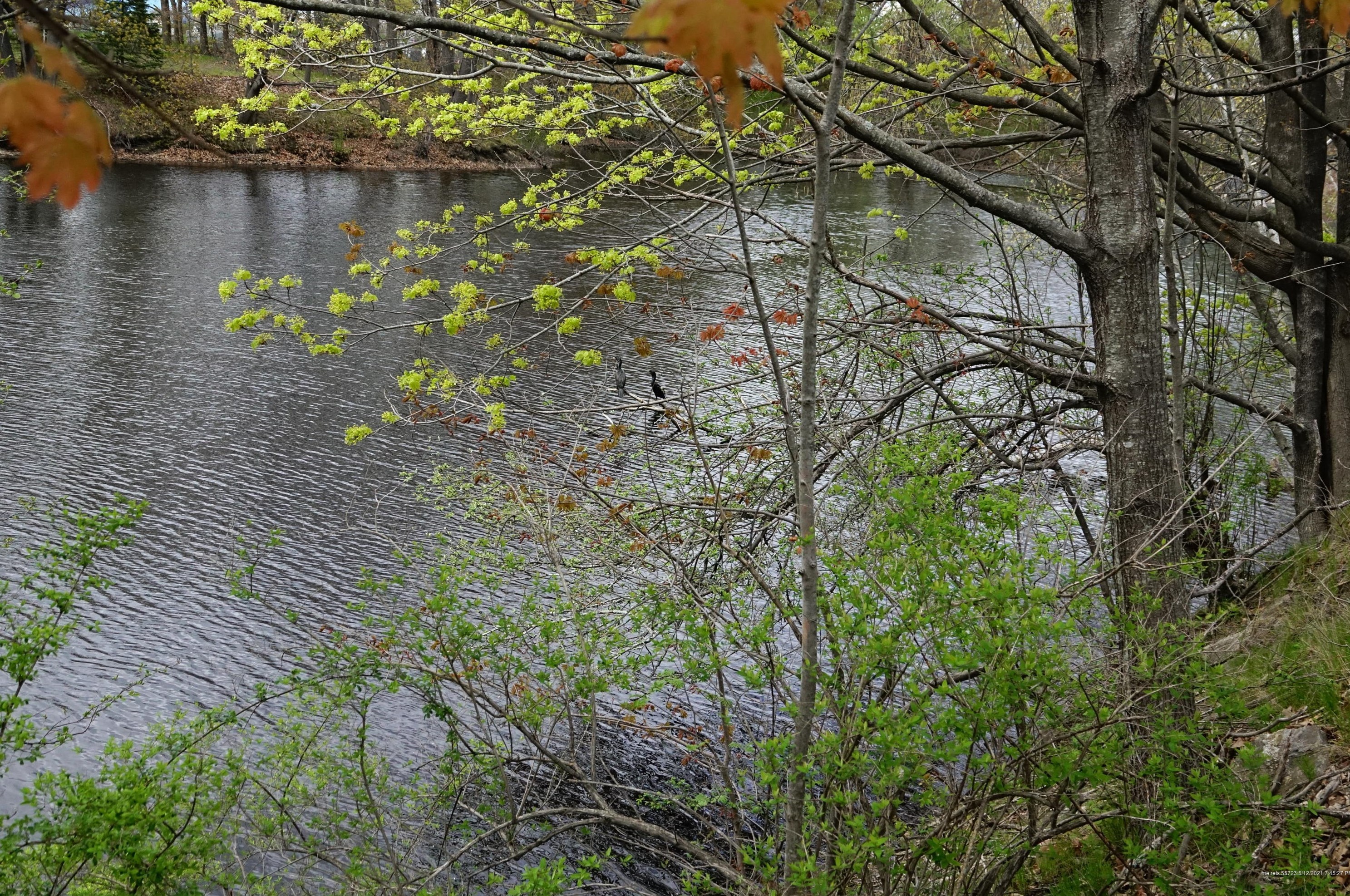 5 Cox St, Portland ME  04106-2635 exterior