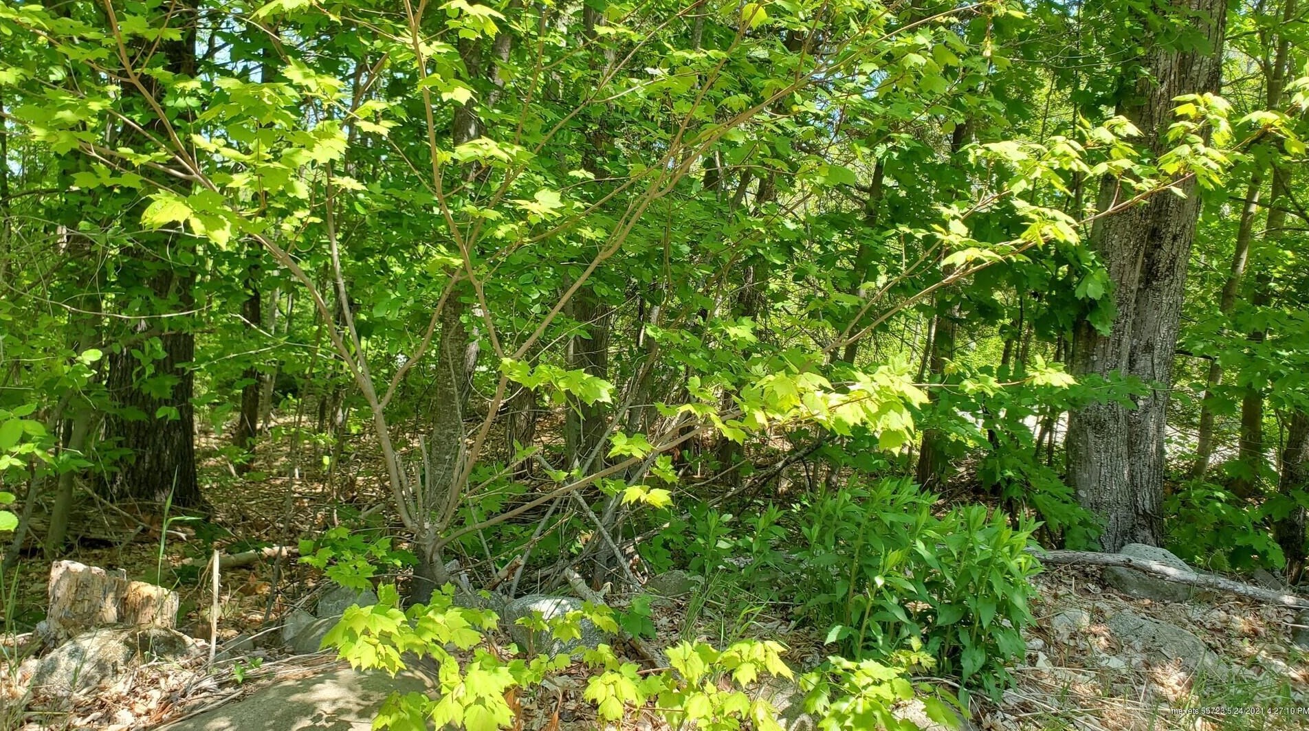 178 Plains Rd, Readfield ME  04355-3121 exterior