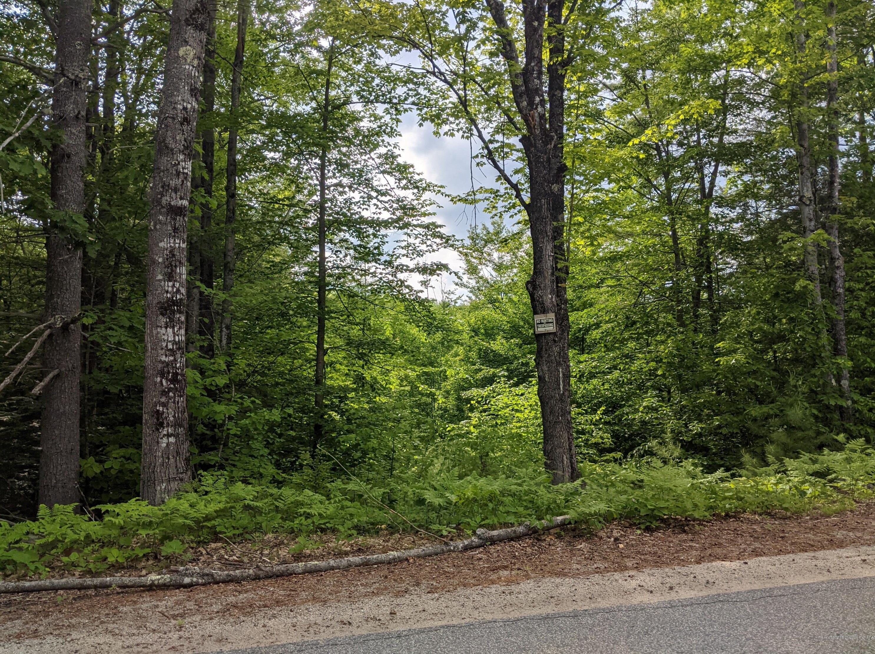 16 Norton Hill Rd, Porter, ME 04068