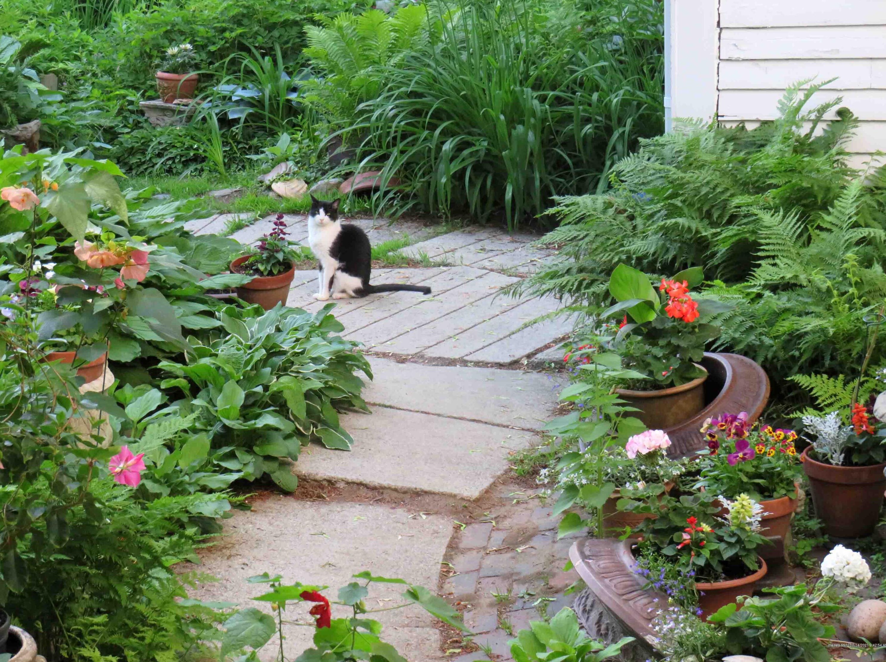 67 Highland St, Portland ME  04103-3007 exterior