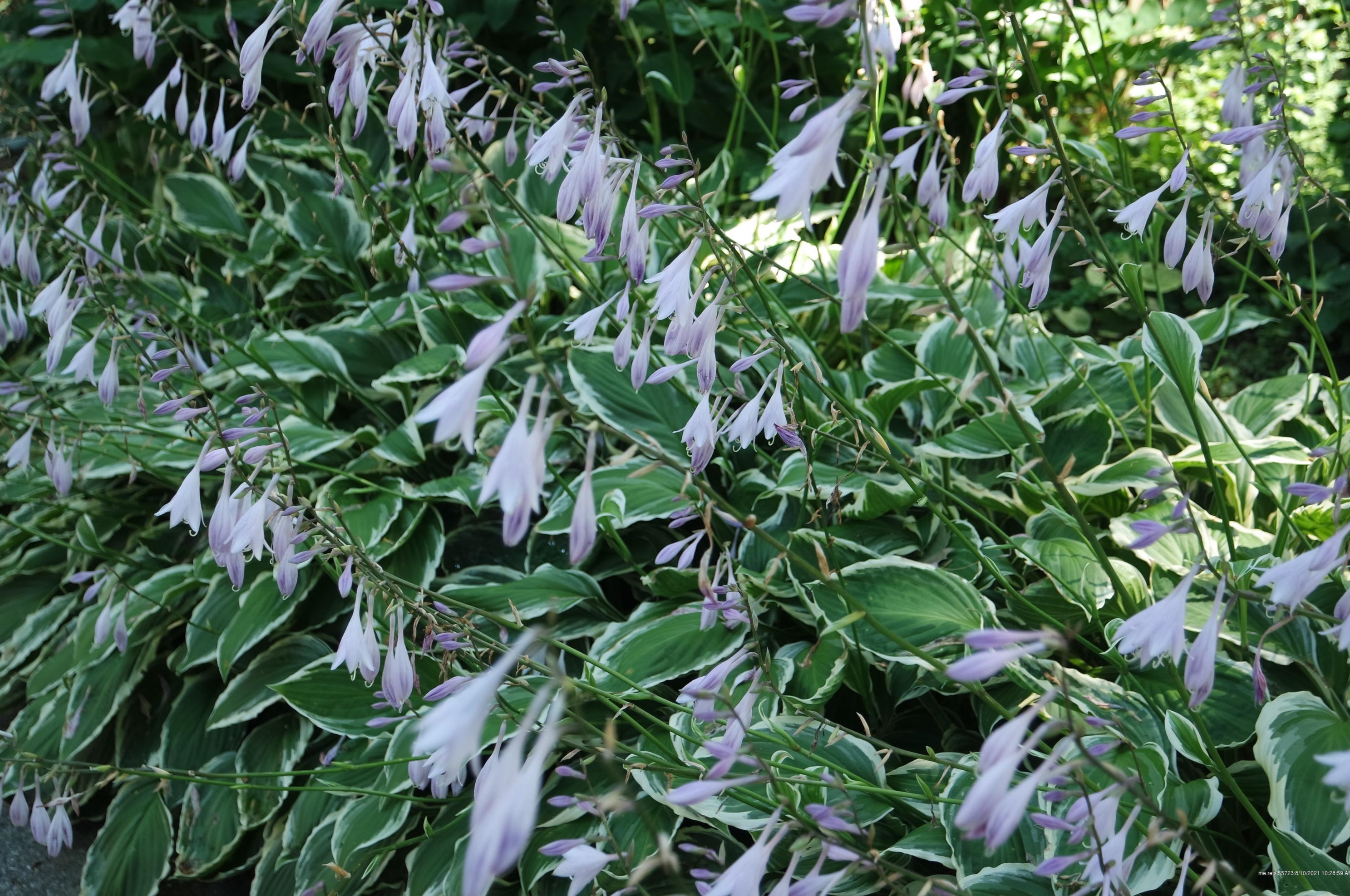 40 Scamman St, Portland ME  04106-4534 exterior