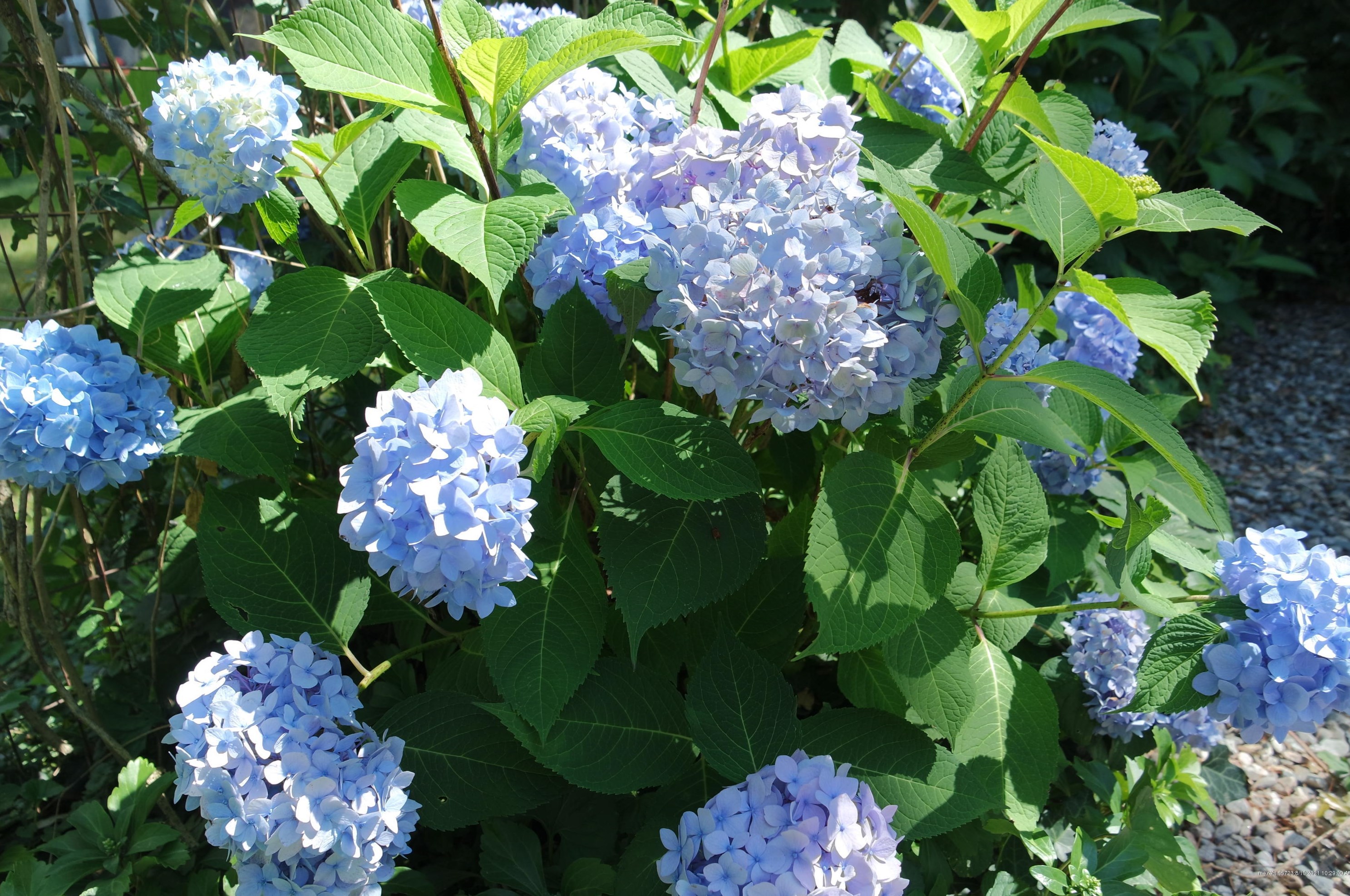 40 Scamman St, Portland ME  04106-4534 exterior