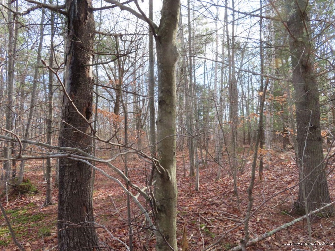 28 Nichols Hill Rd, Concord Township ME  04920-4006 exterior
