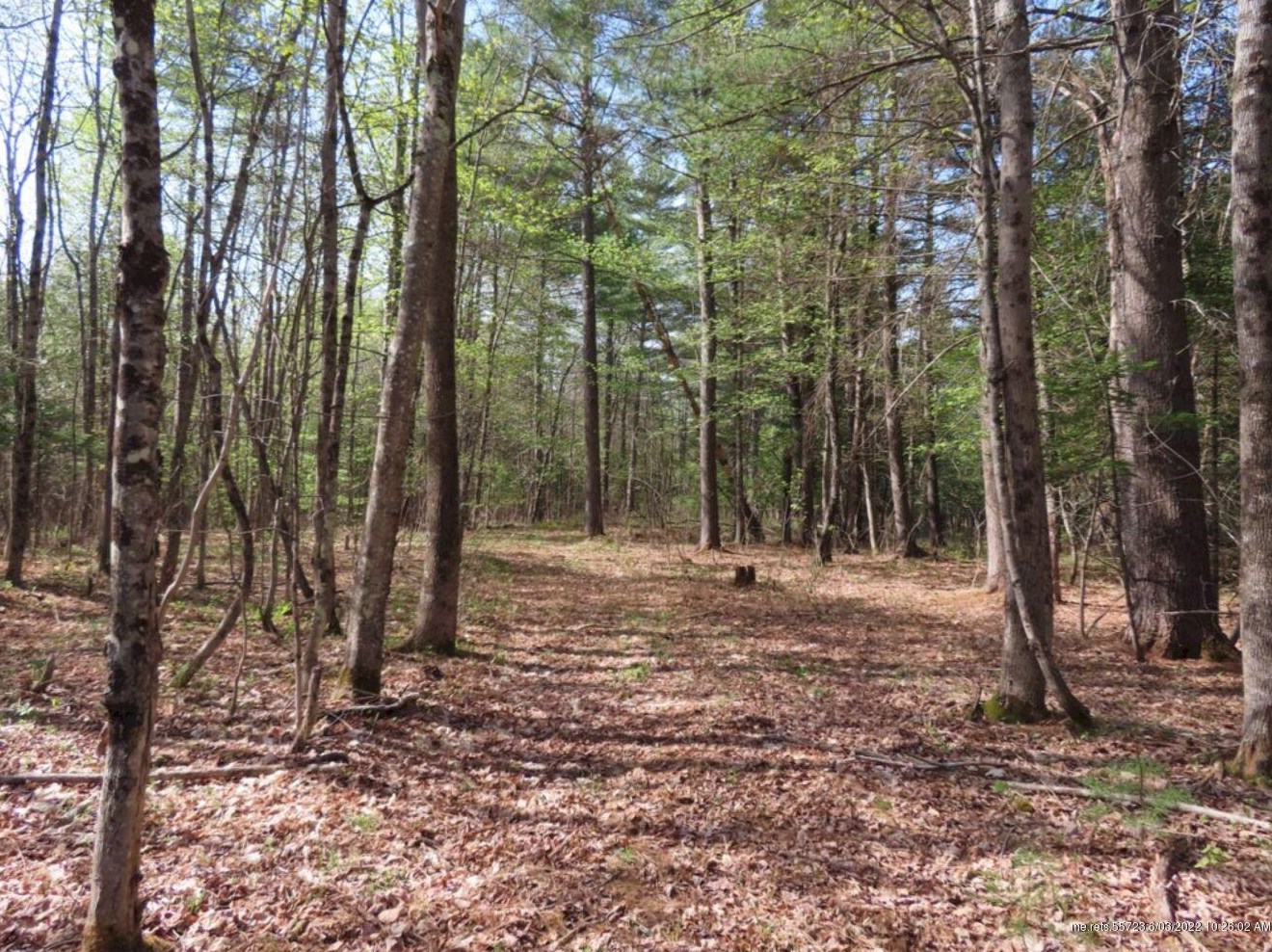 28 Nichols Hill Rd, Concord Township ME  04920-4006 exterior
