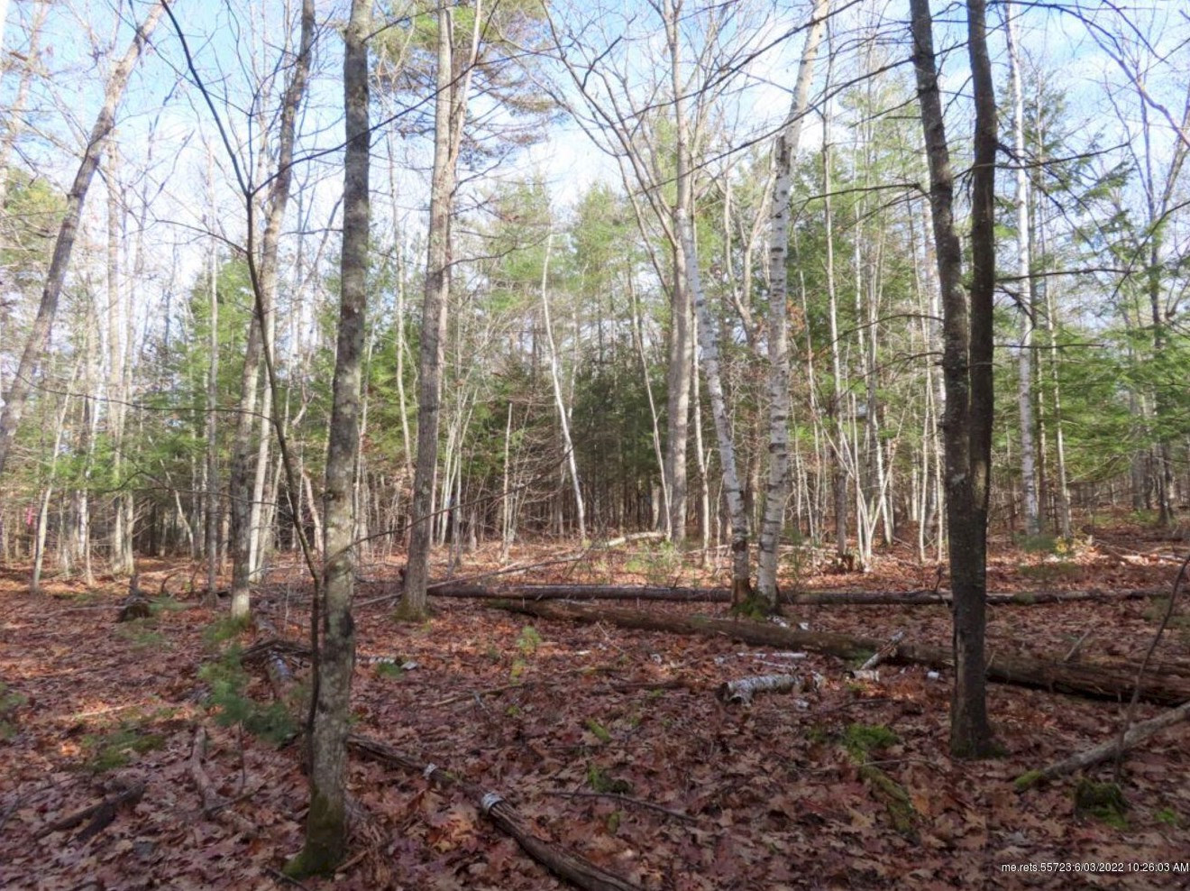 28 Nichols Hill Rd, Concord Township ME  04920-4006 exterior