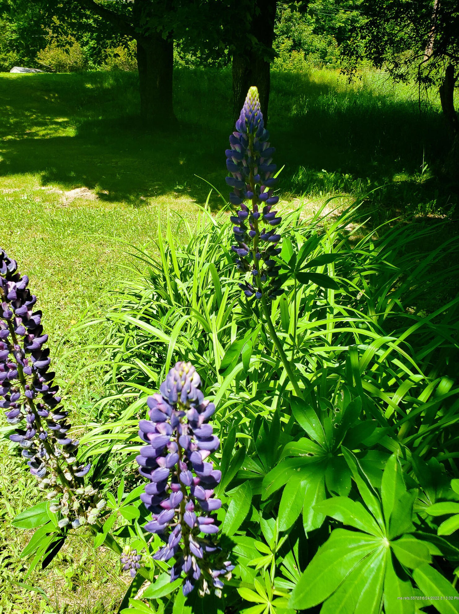 59 Woodbridge Corner Rd, Silver Ridge, ME 04776