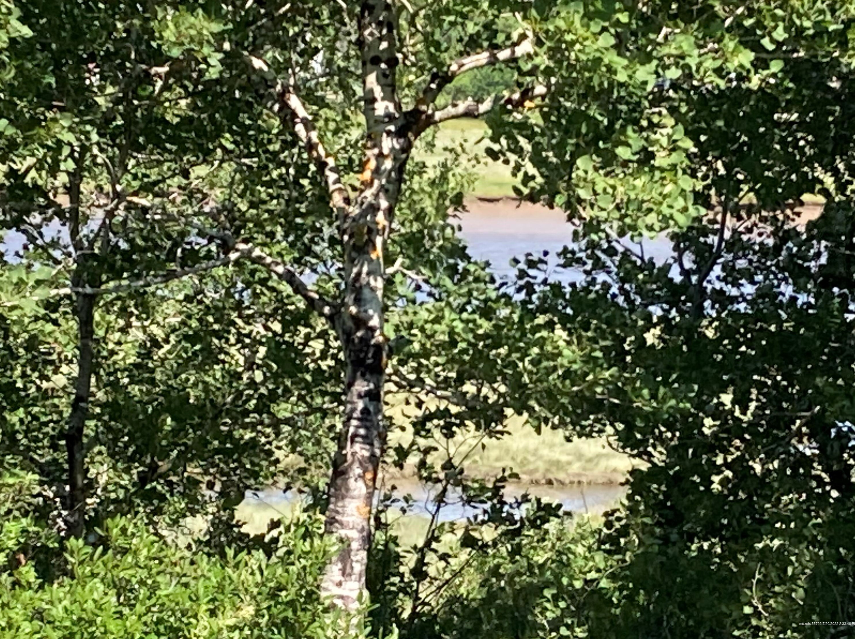 1 East Side Rd, Addison, ME 04606