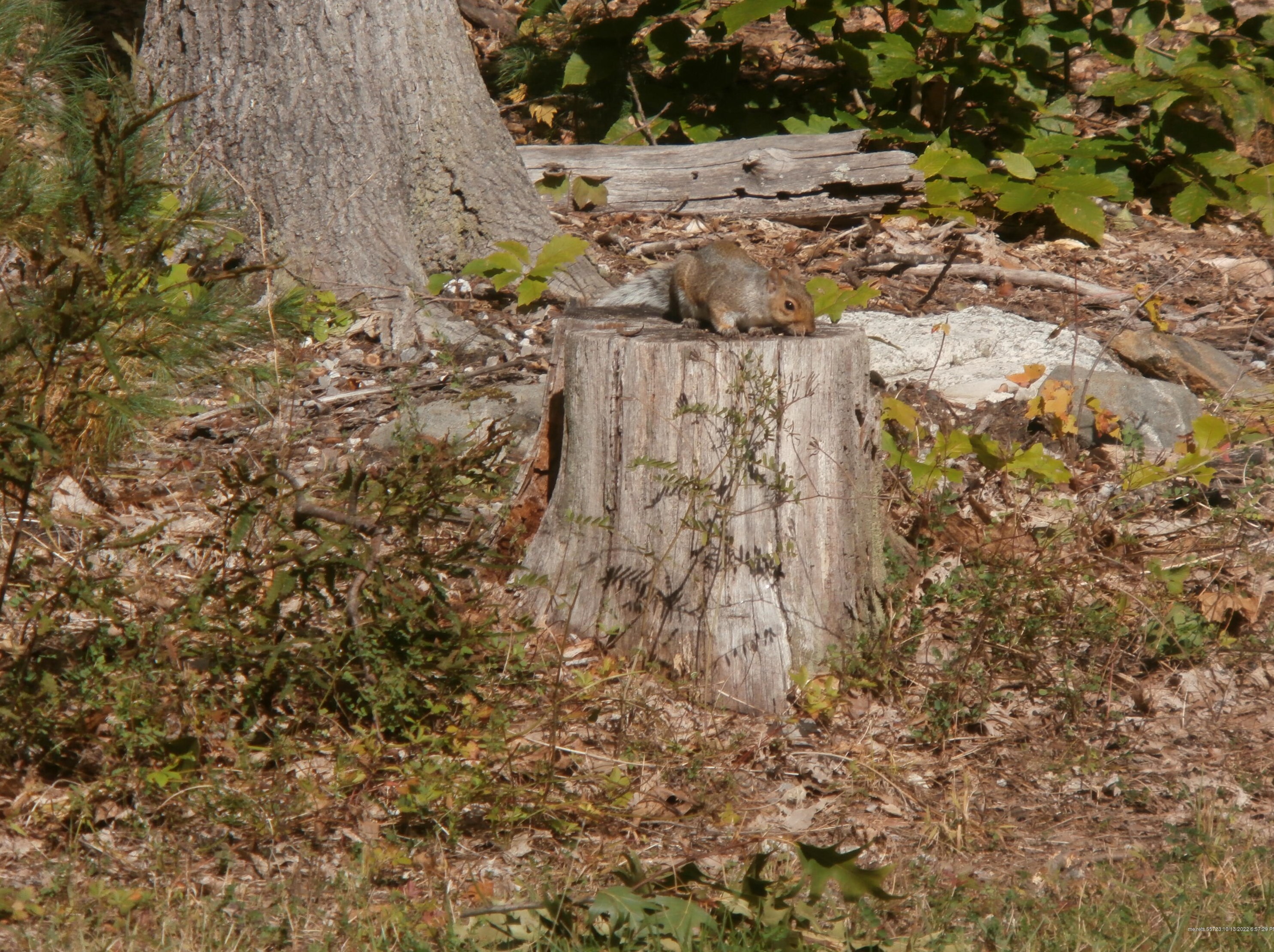 7 Environmental Way, Windham ME  04062-4471 exterior