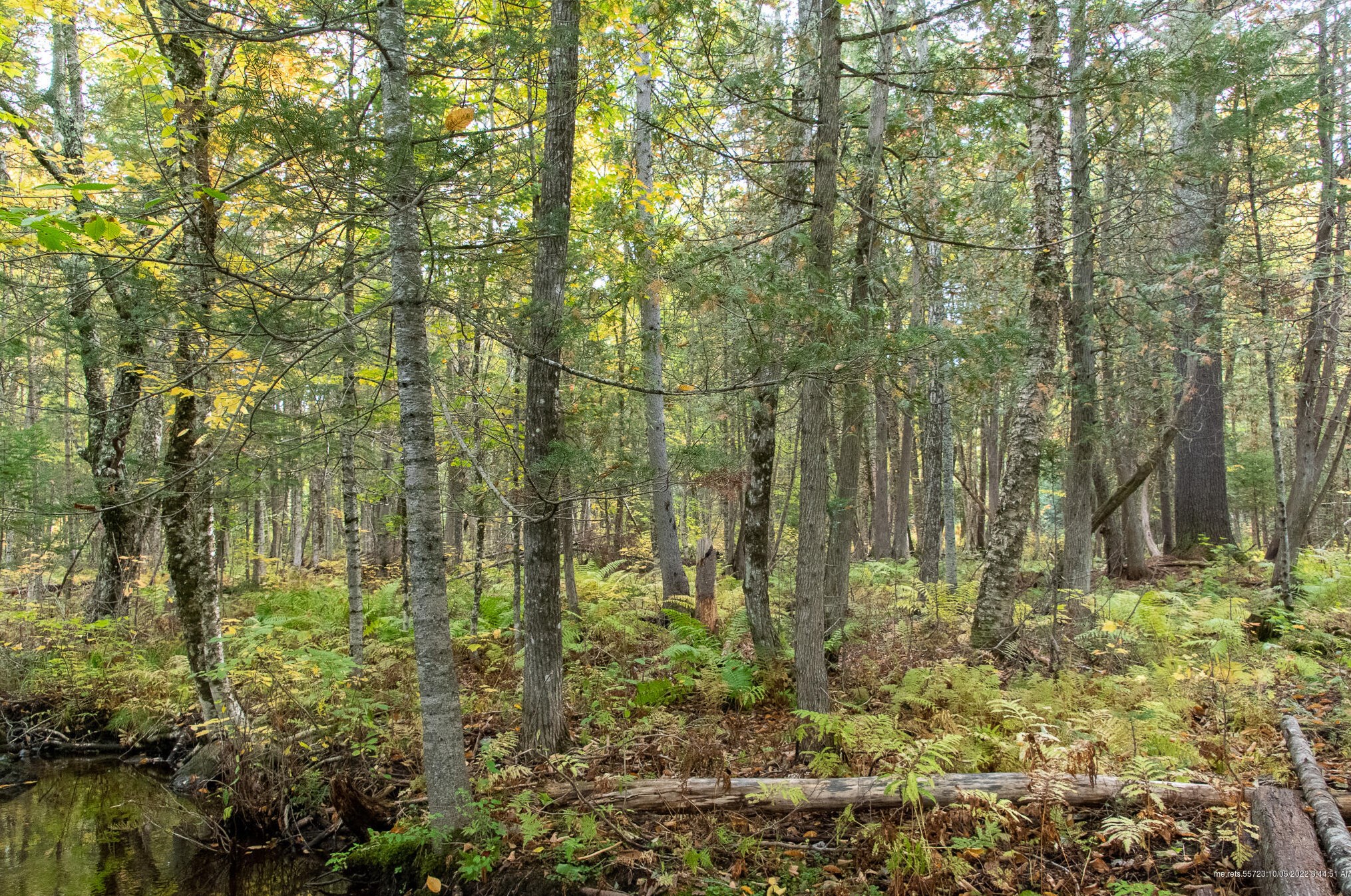 29 North St, Silver Ridge ME  04776-3031 exterior