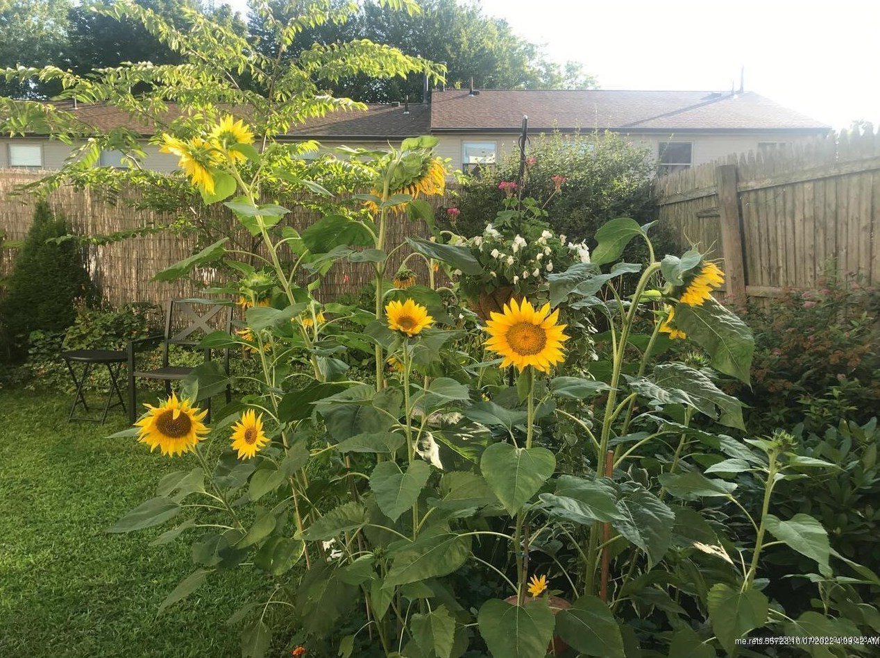 27 May St, Portland ME 04102 exterior