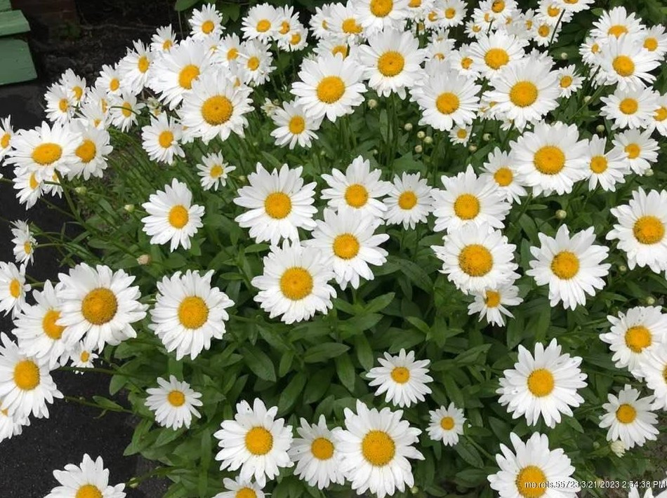 73 High St, Fairfield ME  04937-1349 exterior