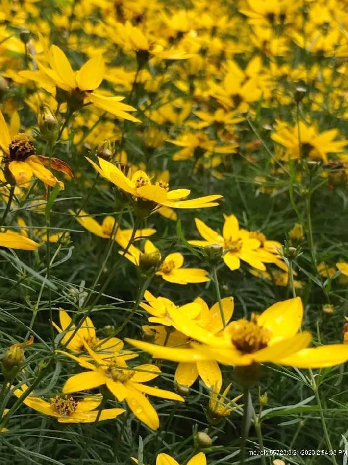 73 High St, Fairfield ME  04937-1349 exterior