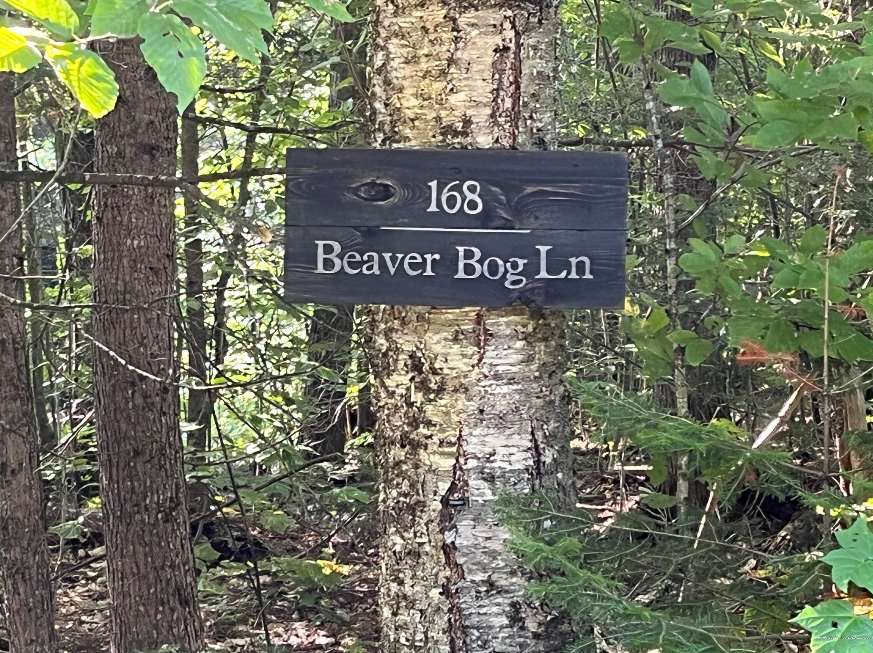 168 Beaver Bog Ln, Blanchard Township, ME 04406