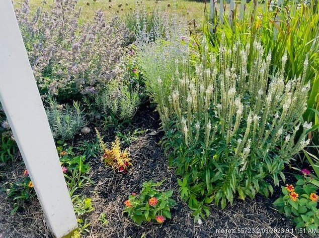 175 Fowler Rd, Portland ME  04107-2407 exterior