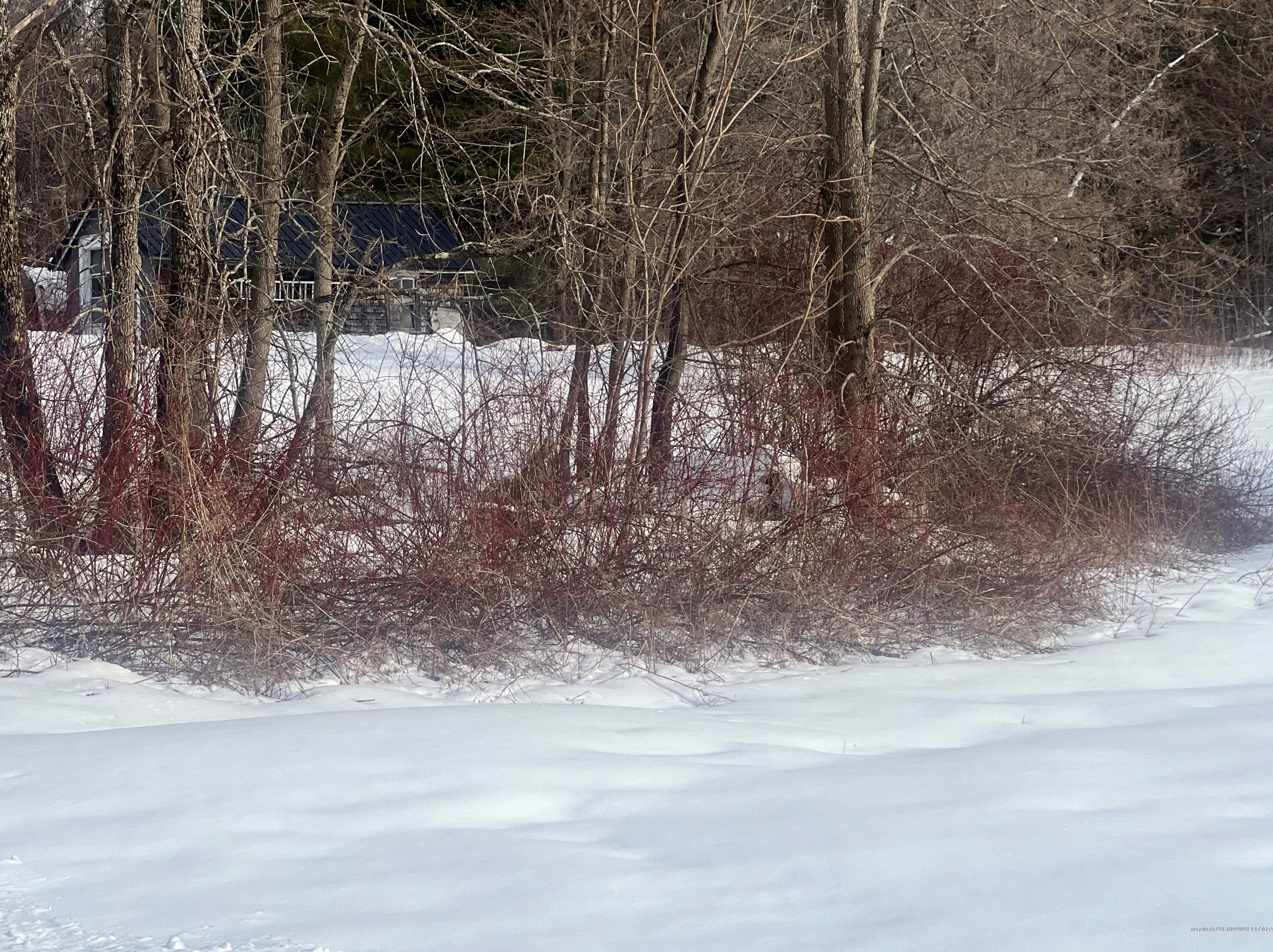 239 Village St, China, ME 04358-5236