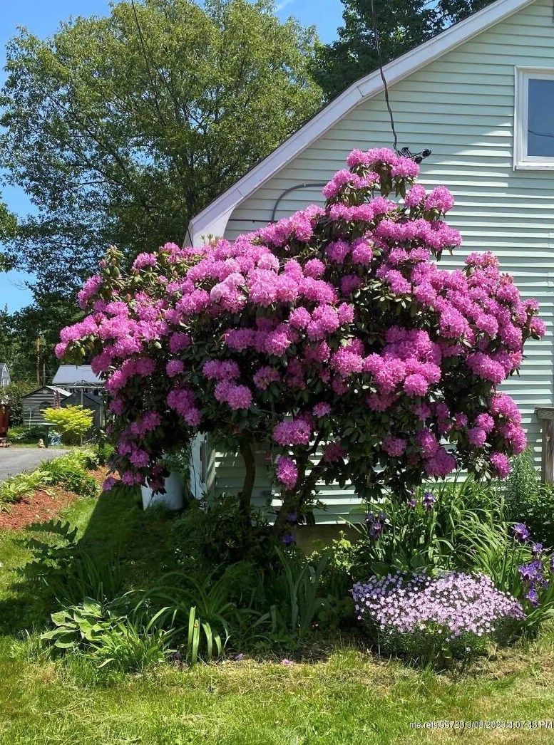 98 Brigham St, Portland ME  04106-3406 exterior