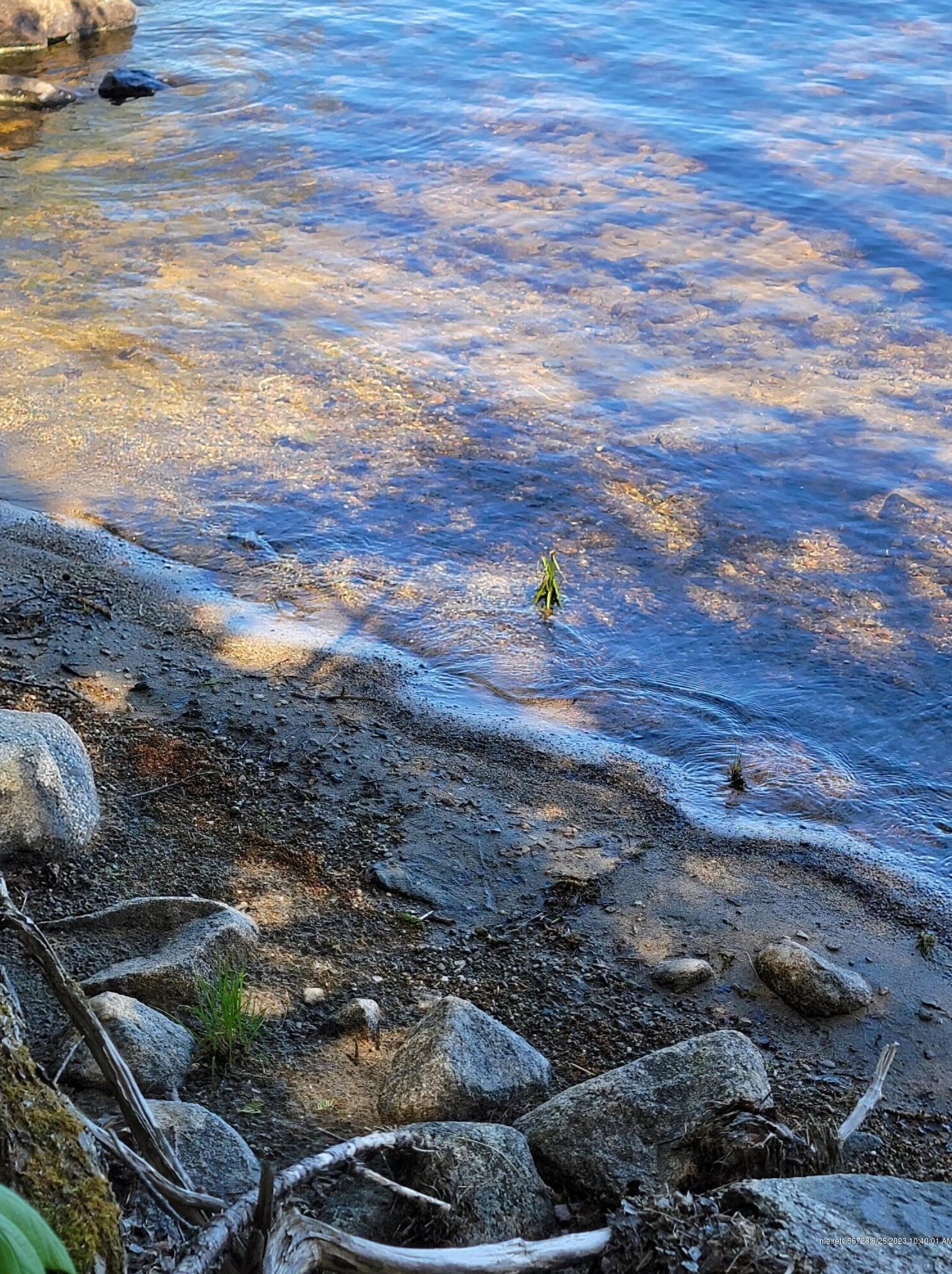 165 Kennedy Blvd, East Machias, ME 04630