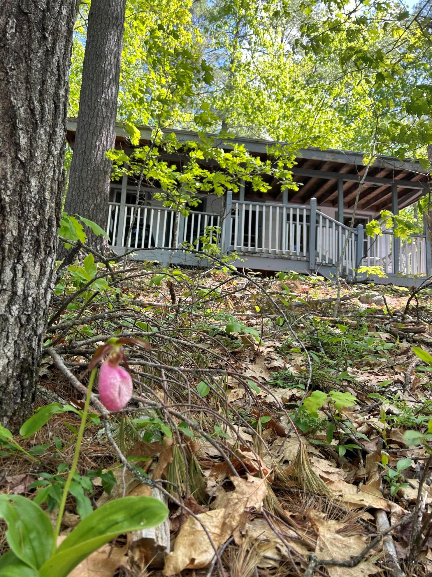 6 Wedgewood Dr, Windham ME  04062-6116 exterior