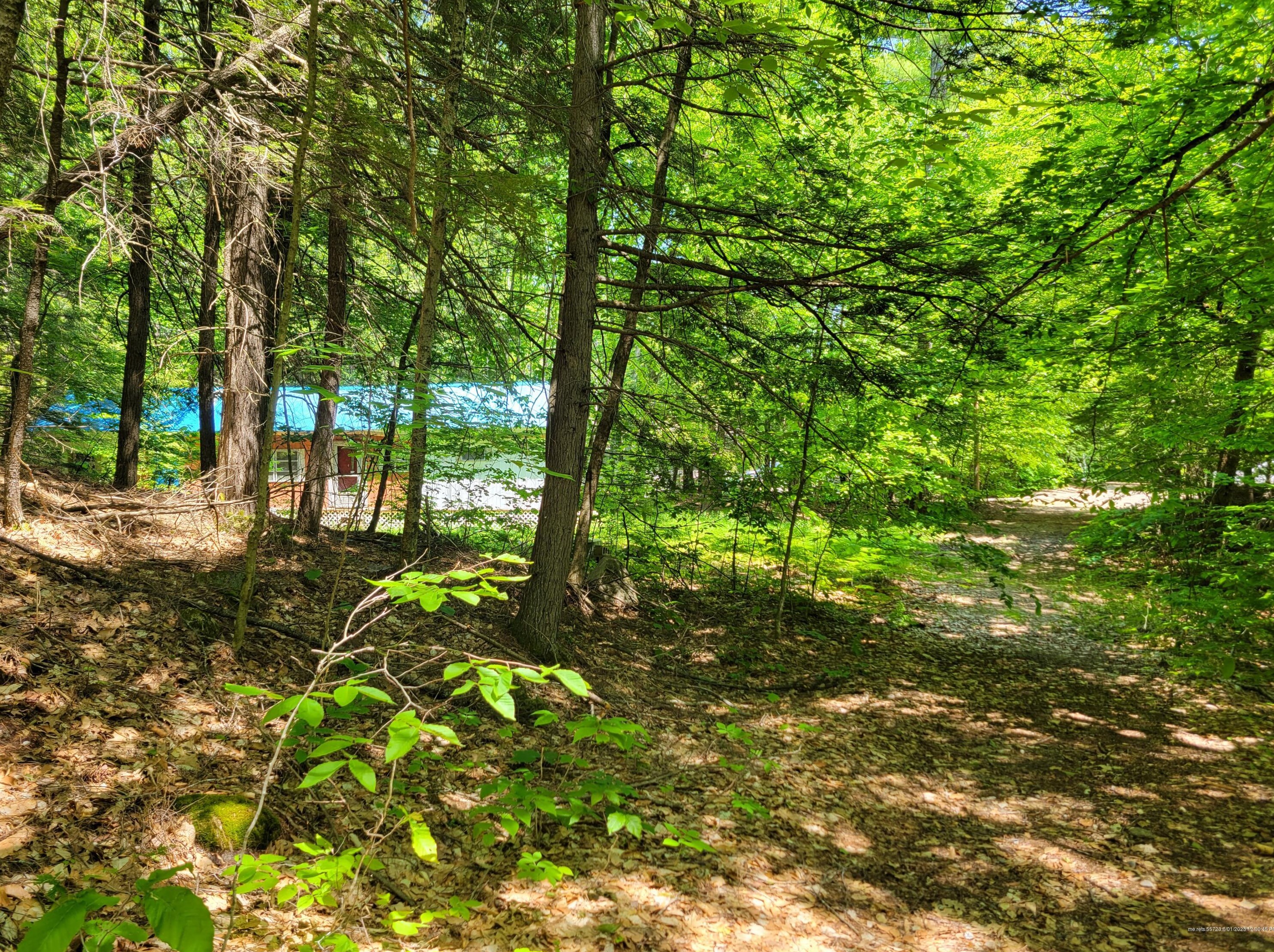 59 Koceika Rd, Sebago, ME 04029 exterior