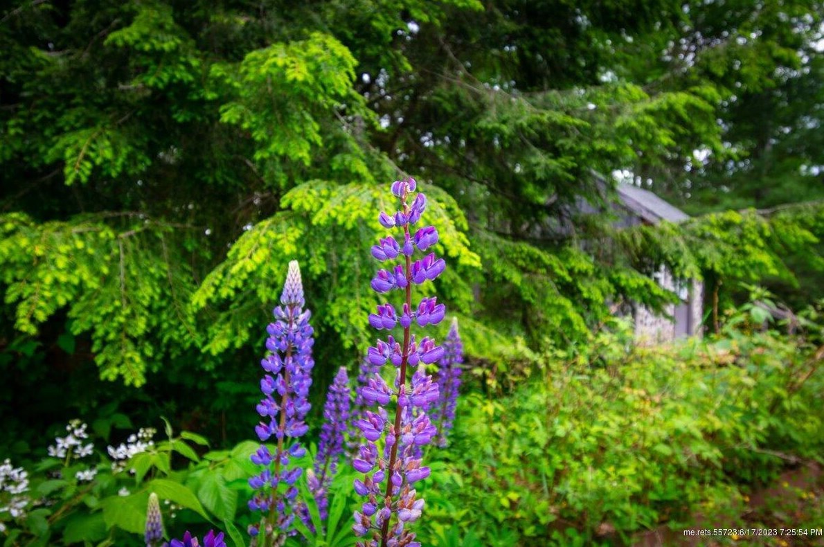 1011 Biscay Rd, Bremen ME 04551-3124 exterior