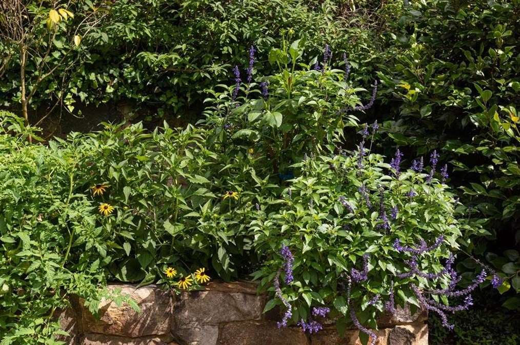 2841 Vernon Rd, Atlanta GA  30305-2934 exterior